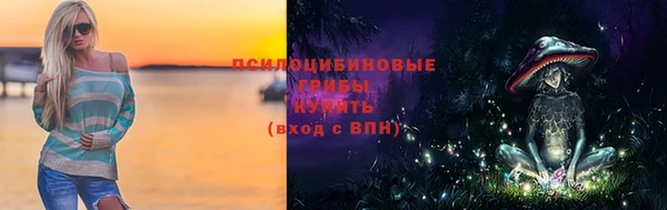 ПСИЛОЦИБИНОВЫЕ ГРИБЫ Беломорск