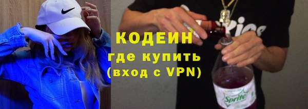 ГАЛЛЮЦИНОГЕННЫЕ ГРИБЫ Богданович