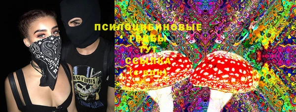 ПСИЛОЦИБИНОВЫЕ ГРИБЫ Беломорск